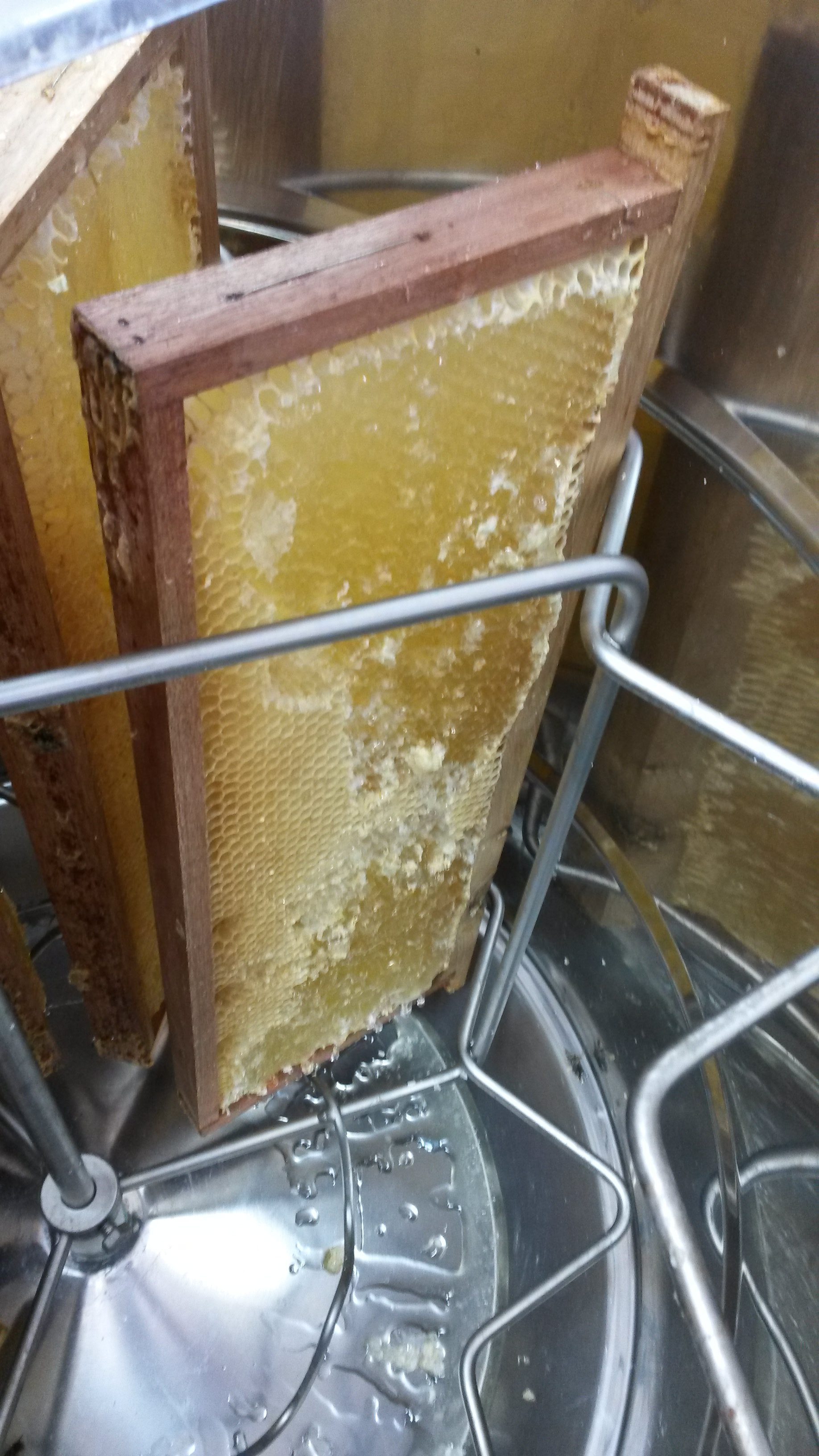 Deuxième récolte de miel de printemps