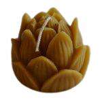 Bougie Lotus